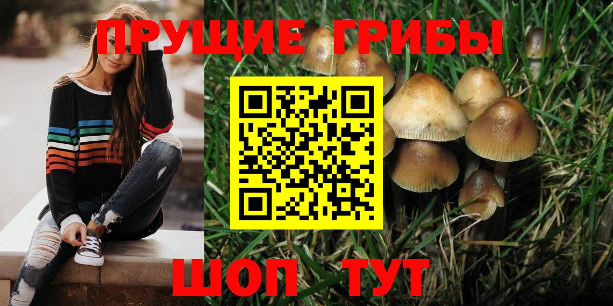 Ухта  Галлюциногенные грибы Psilocybe  наркошоп  Вход с VPN 